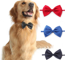 Load image into Gallery viewer, Ribbon Collar
